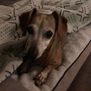 Meet your Posher, Natalie